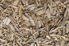 biomass boilers Trengune