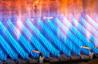 Trengune gas fired boilers