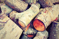 Trengune wood burning boiler costs